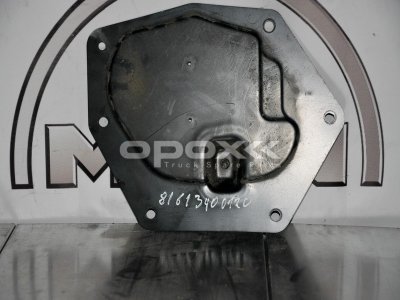 Купить 81613400120g в Москве. Накладочный лист справа MAN