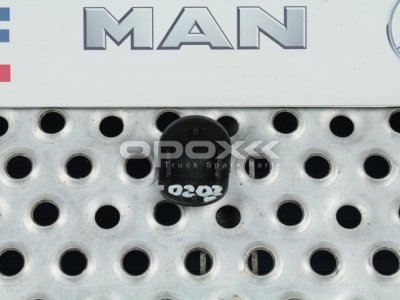 Купить 81964100714g в Москве. Колпачок MAN